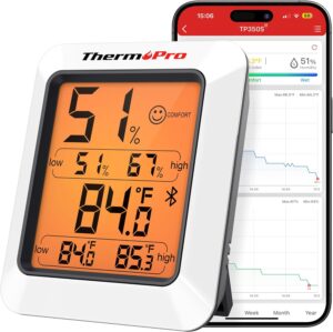 Thermometer for House