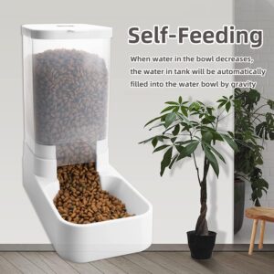 Water Dispenser for Dogs Cats - Image 2