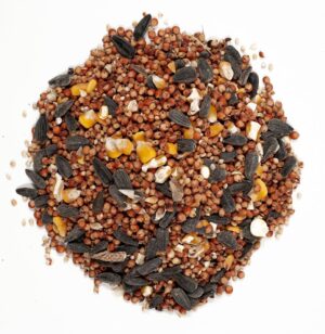 Wild Bird Food - Image 3