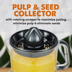 Free Electric Citrus Juicer - Image 2