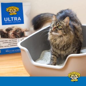 Premium Clumping Cat Litter - Image 2