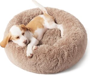 Calming Bed for Small Dogs