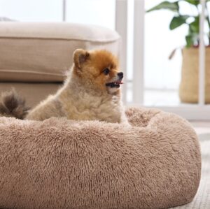 Calming Bed for Small Dogs - Image 2