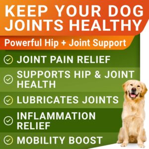 Glucosamine Treats for Dogs - Image 3