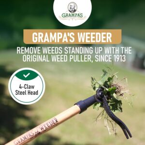 Weed Puller Tool with Long Handle - Image 4