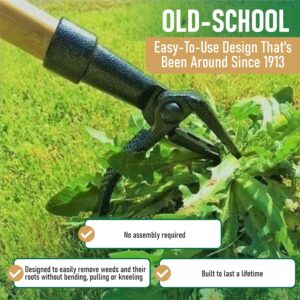 Weed Puller Tool with Long Handle - Image 3