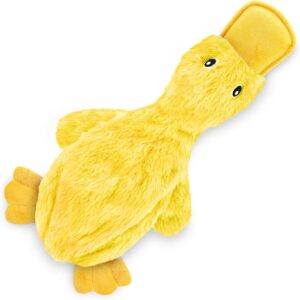 Crinkle Dog Toy for Small
