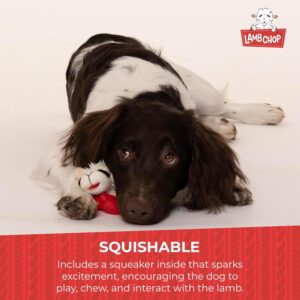 Lamb Chop Dog Plush Toy - Image 3