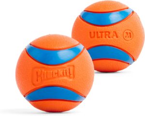 Chuckit! Ultra Ball Dog Toy