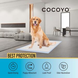 Dog Training Pads 50 Count - Image 3
