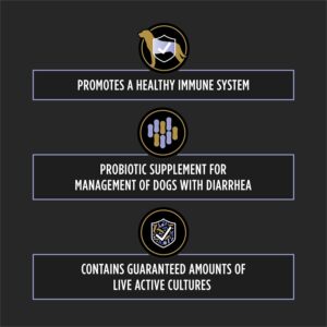 Dog Probiotic Supplement - Image 4