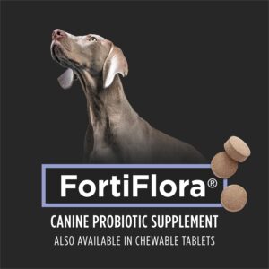 Dog Probiotic Supplement - Image 3