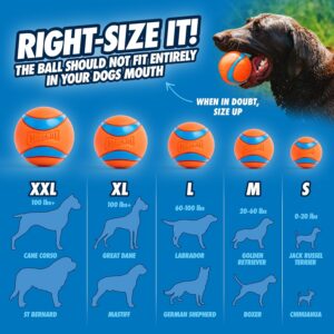 Chuckit! Ultra Ball Dog Toy - Image 2