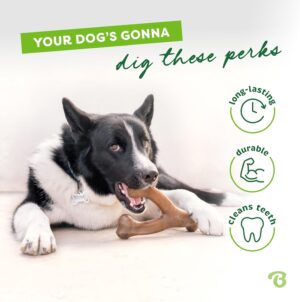 Benebone Wishbone Dog Chew - Image 3