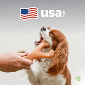 Benebone Wishbone Dog Chew - Image 2